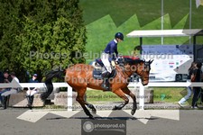 ref. photo 3562101