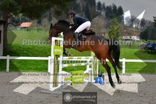 ref. photo 3562115