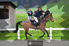 ref. photo 3562149