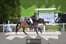 ref. photo 3562154