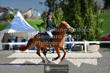 ref. photo 3562173