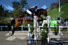 ref. photo 3562180