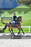 ref. photo 3562186