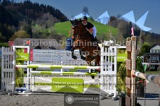 ref. photo 3562194