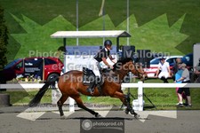 ref. photo 3562197