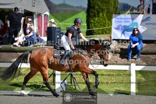 ref. photo 3562198