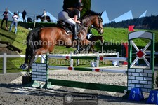 ref. photo 3562200