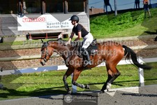 ref. photo 3562205
