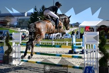 ref. photo 3562243