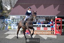 ref. photo 3562254