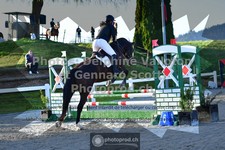 ref. photo 3562261