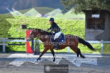 ref. photo 3562271