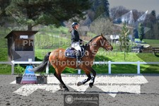 ref. photo 3562280