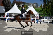 ref. photo 3562285