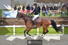 ref. photo 3562323