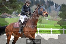 ref. photo 3562339