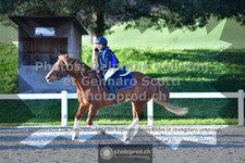 ref. photo 3562362