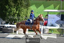 ref. photo 3562369