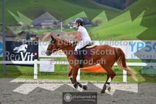 ref. photo 3562437
