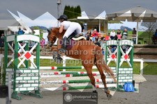 ref. photo 3562438