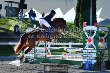 ref. photo 3562462