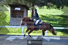 ref. photo 3562464