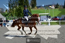 ref. photo 3562470