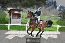 ref. photo 3562479