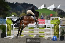 ref. photo 3562485