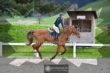 ref. photo 3562504