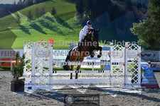 ref. photo 3562513