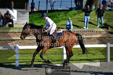 ref. photo 3562517