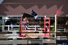 ref. photo 3562530