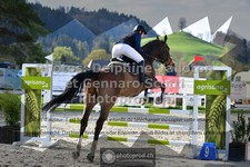 ref. photo 3562534