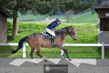 ref. photo 3562537
