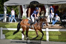 ref. photo 3562543