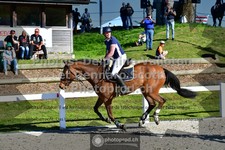 ref. photo 3562549