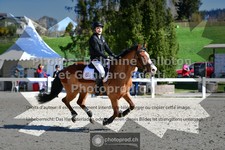 ref. photo 3562564