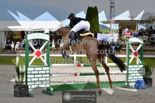 ref. photo 3562605