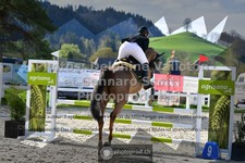 ref. photo 3562616