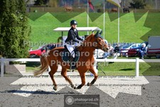ref. photo 3562658