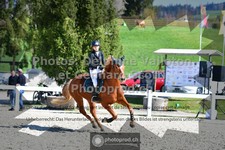 ref. photo 3562661