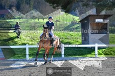 ref. photo 3562669