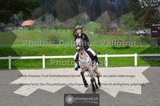 ref. photo 3562711
