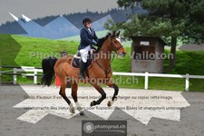 ref. photo 3562717