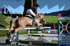 ref. photo 3562922