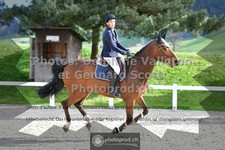ref. photo 3563005
