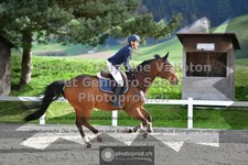 ref. photo 3563008