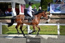 ref. photo 3563012