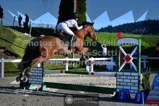 ref. photo 3563019